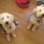 Darren Sample - @darrensample - Instagram