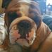 Darren Sanchez - Facebook