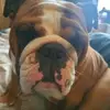 Darren Sanchez - @darren.sanchez6 - TikTok