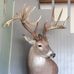 Darren Sapp - Facebook