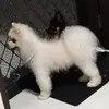 Darren Schofield - @darren.schofield4 - TikTok