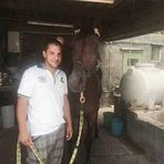 Daren Sciberras - Facebook