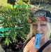 Duran Seeds - Facebook