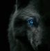 Darrin Sharp - Facebook