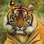 Darren Shaver - @darren.shaver09 - Instagram