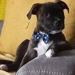 Darren Small - @smalldarren05 - Instagram