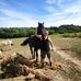 Darren Stephens - Facebook