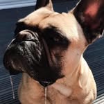 Darren Stephenson - @stephenson_74 - Instagram