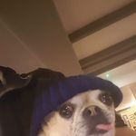 Darren Stephenson - @darren.stephenson3 - Instagram