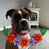 Darren Stephenson - @darren.stephenson82 - TikTok