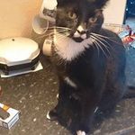 Darren Wayne Stevenson - @darrenwaynestevenson - Instagram