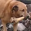 Darren Stringer - @darren.stringer - TikTok