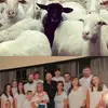 Darren Suderman - @darrensuderman - TikTok