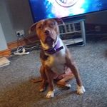 darren sutherland - @darnsutherland - Instagram