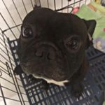 Darren Tee - @darr3n_t3e - Instagram