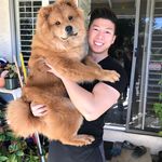 Darren Wong - @_darrenteed - Instagram