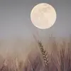 Darren Tharp626 - @darrentharp626 - TikTok