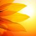 Darren Tharp - Facebook