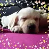 darrenthayre - @darrenthayre - TikTok