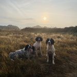 Darren Thorne - @dazzer0206 - Instagram