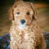 darrentotton - @darrentotton - TikTok