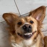 Darren Townsend - @darren.townsend1 - Instagram