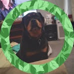 Darren Trott - Facebook