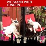 Mel John - @darrentully10 - Instagram
