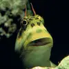 Darren Upton - @darrenupton - TikTok