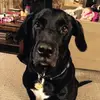 Darren - @darren.usher - TikTok