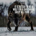 Darren L Vickers - @lobo0877 - Instagram