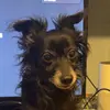 Darren - @darrenvil - TikTok