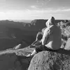 Darren Voss - @darrenvoss - TikTok
