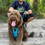 Darren Vossler - @darrenvossler - Instagram