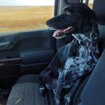 Darren Wagner - @darren.v12 - Instagram