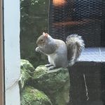 Darren Wainwright - @wainwrightdarren - Instagram