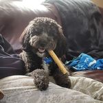 Darren Weaver - @darren.weaver.5682 - Instagram