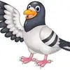 Darren Wheatley - @darrenwheatley - TikTok