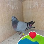 Darren Wheatley - @darren.wheatley.121 - Instagram