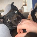 Darren Whyte - @darren_whyte - Instagram