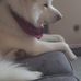 Darrick Harris - Facebook