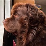Darrick Harter - @darrickharter - Instagram