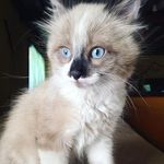 Darrick Hartzog - @darrickhartzog - Instagram