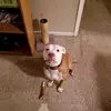 Darrick Smith - @darrick.smith81 - TikTok