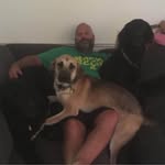 Darrick Thomas - @darrick.thomas.5 - Instagram