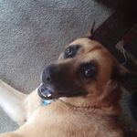 Darrick walker - @darrick.walker - Instagram