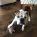 Darriel Johnson - Facebook
