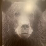 Darrell Alsup - Facebook