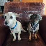 Darren Akers - @darren.akers.56 - Instagram