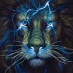 Darrin - @akersdarrin17 - Instagram